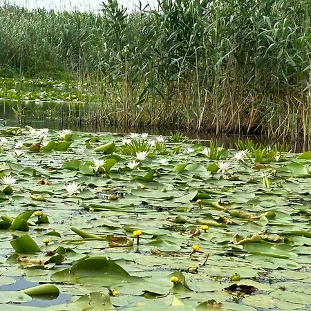 Hotel Casa Munteanu Mila Douăzeci şi Trei Zewnętrze zdjęcie