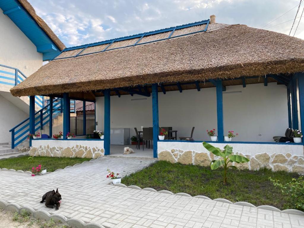 Hotel Casa Munteanu Mila Douăzeci şi Trei Zewnętrze zdjęcie